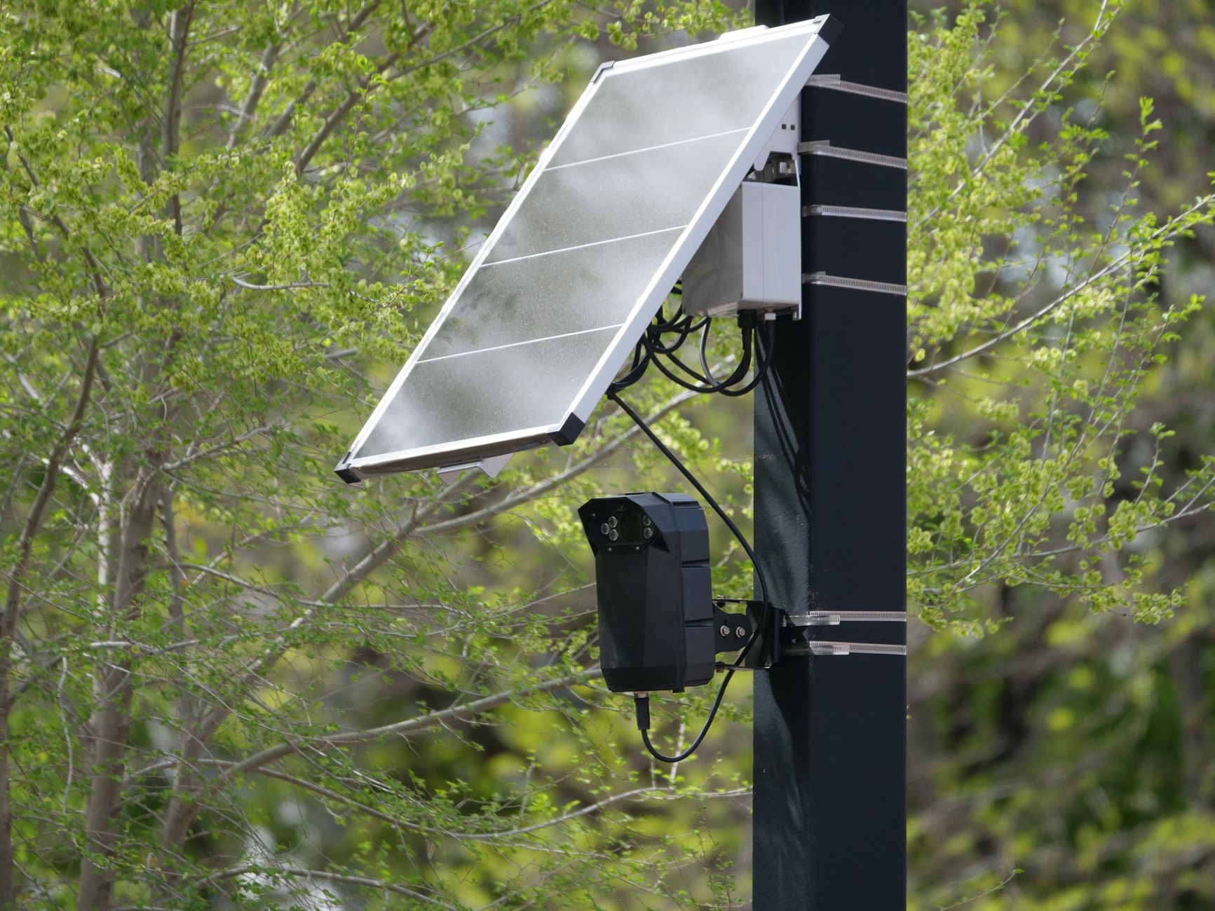 Consumer Cameras: The Smart Tool for Solar Cell Analysis