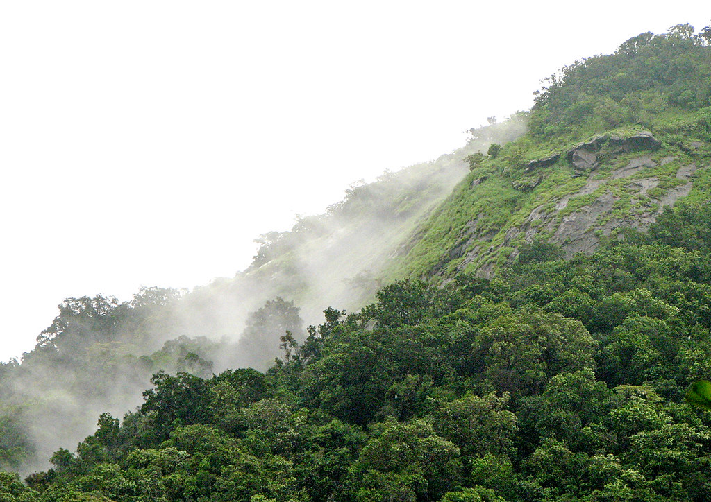 India Monsoon Rainfall: Worst Impact of El Niño Revealed