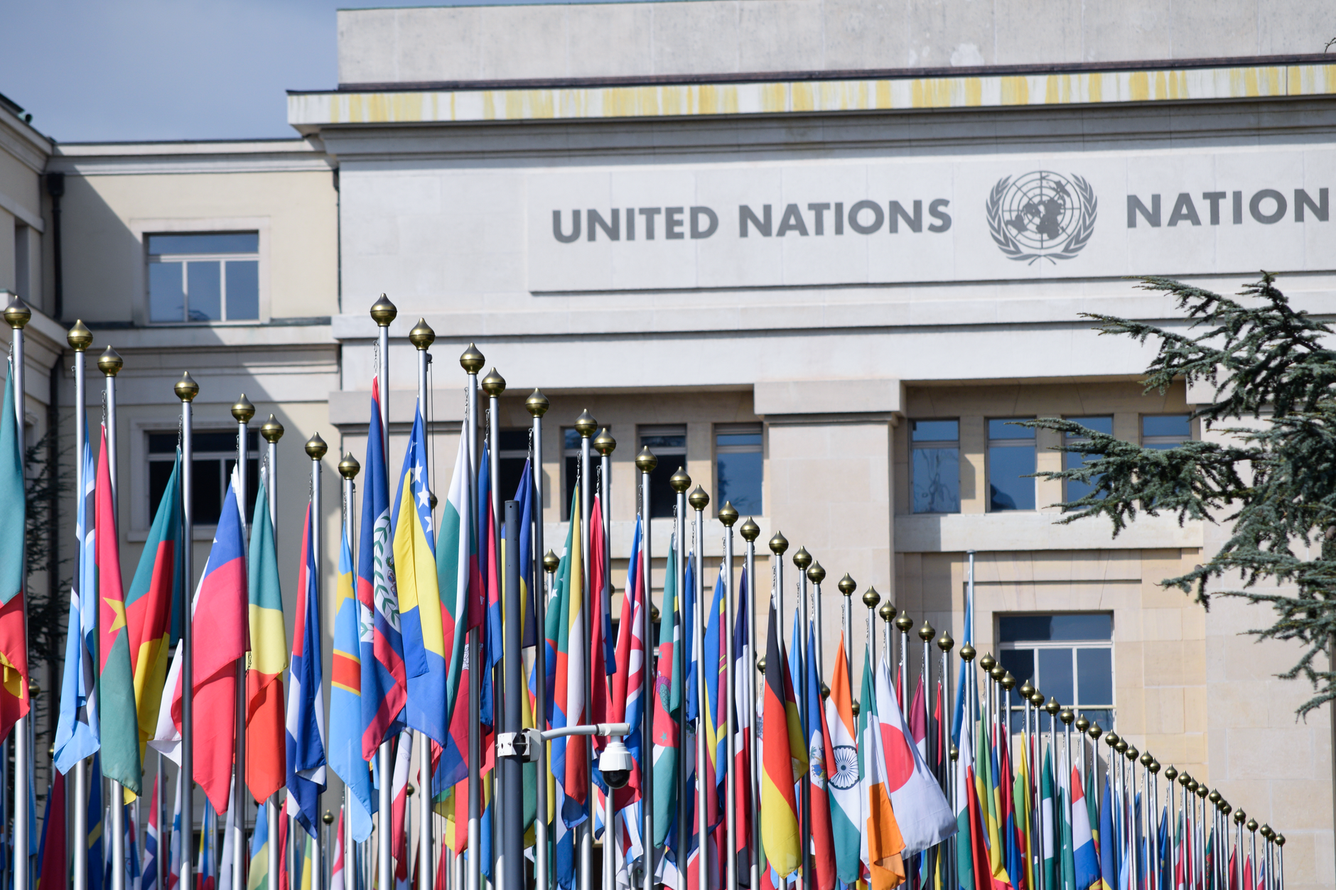 global reform UN
