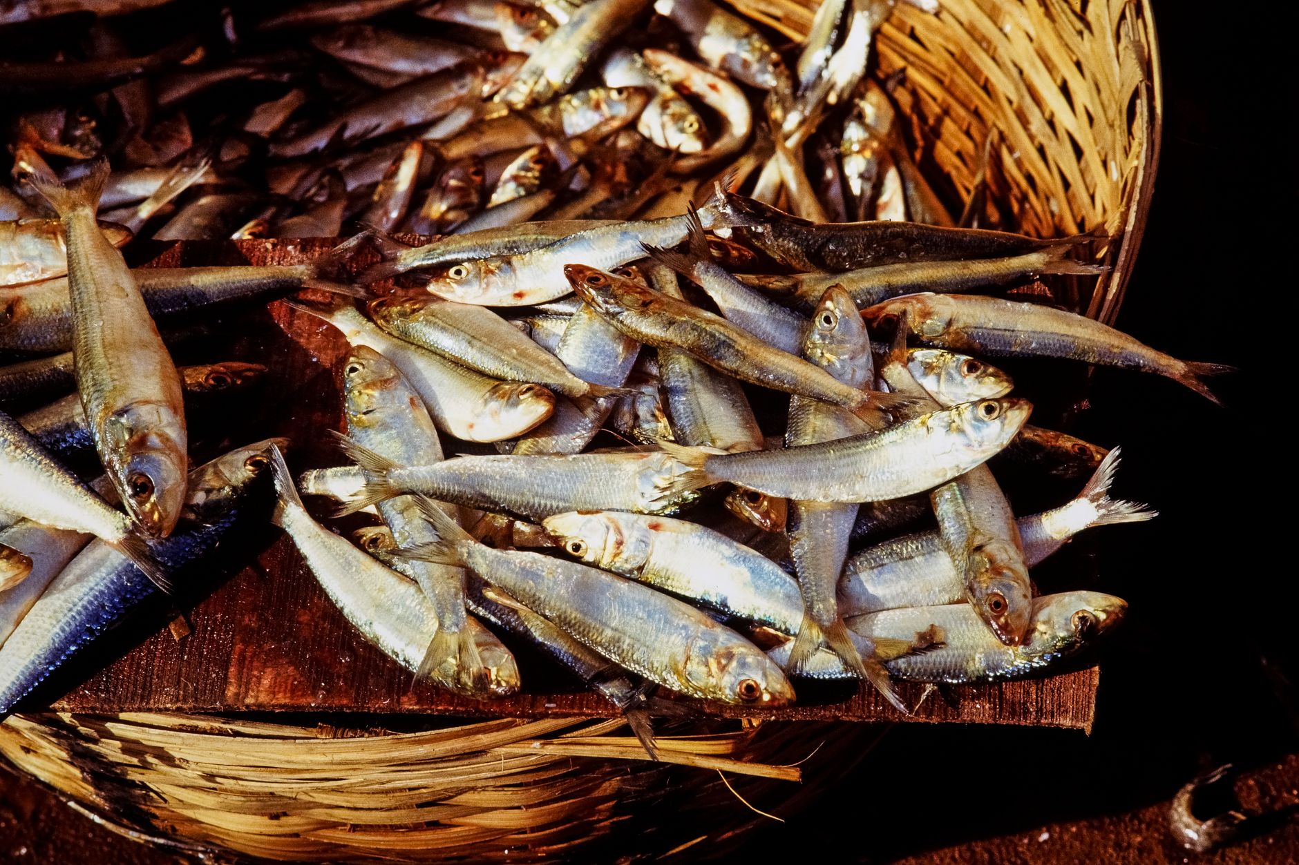 Southern Indian Ocean Fisheries Agreement